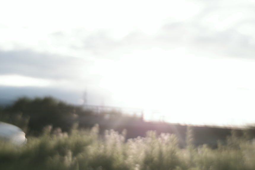 2022年 うろはどう変化しようか思案の日々