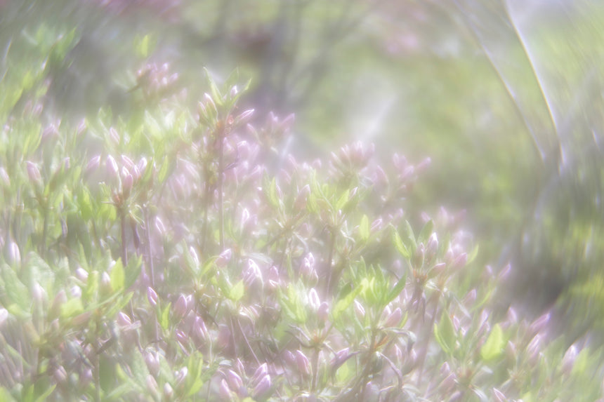 "情報を着る"という事