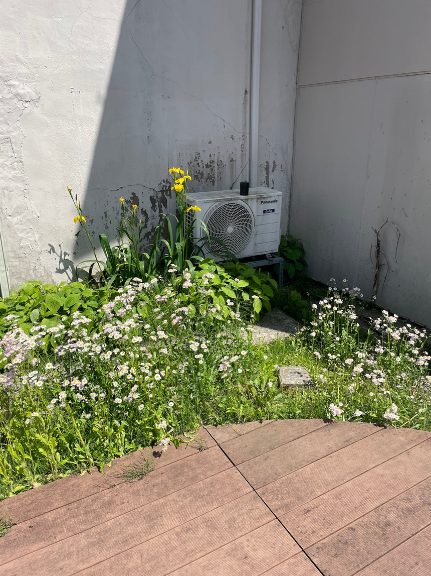 私はただ、世界が美しいと認識したいだけなのです。