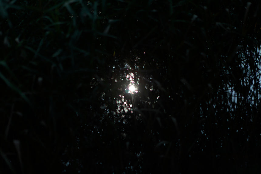 大切な衣類のお手入れについて 其の1 自身でできるメンテナンス〜メディテーションにも似たこの行為は〜